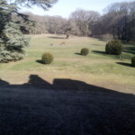 Vue sur le parc